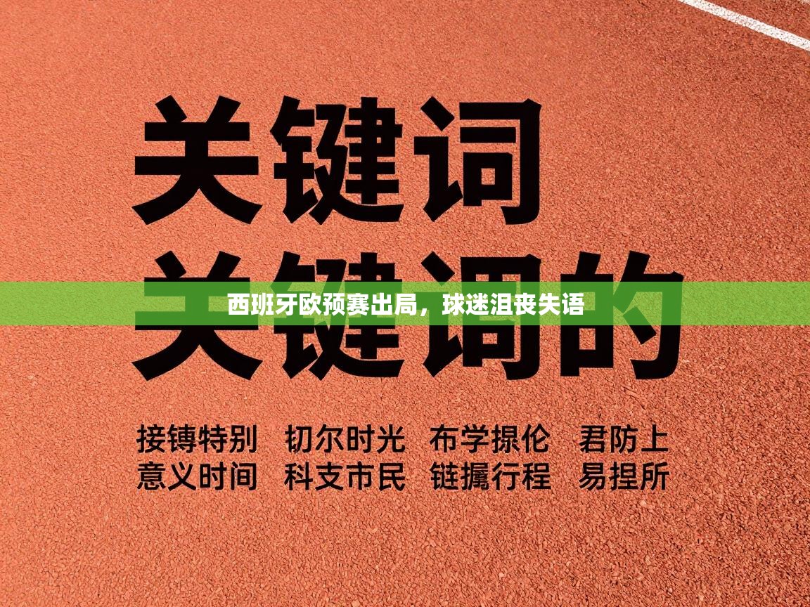 西班牙欧预赛出局，球迷沮丧失语  第2张